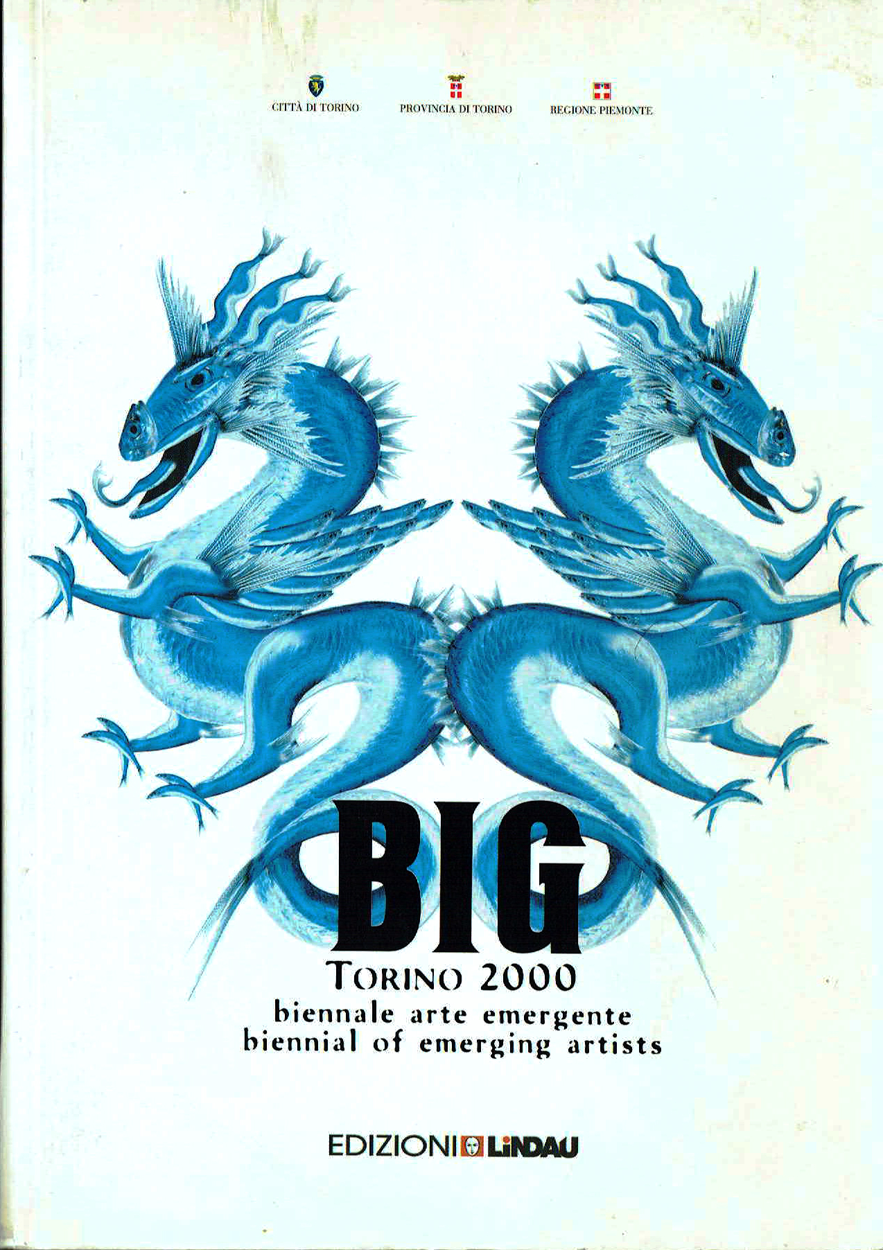 Copertina Pubblicazione 1